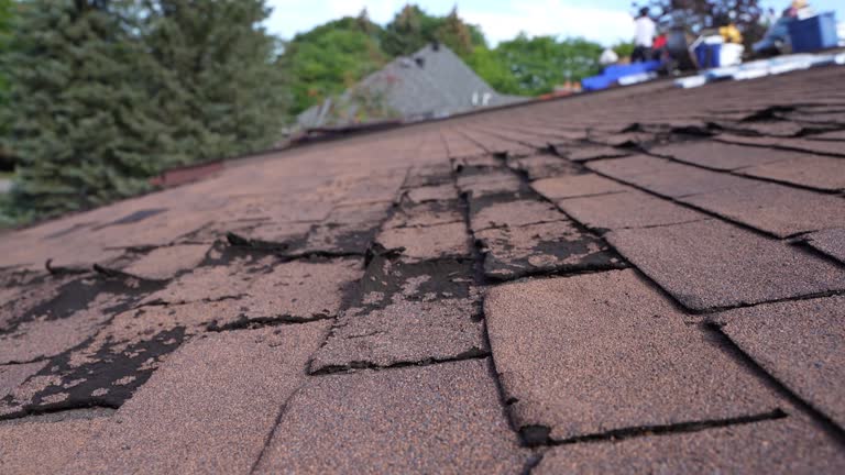 Best Flat Roofing  in Jamesburg, NJ